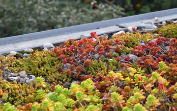 the cost of Martlesham Heath green roof installation