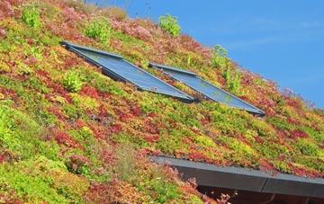 Martlesham Heath living roof systems