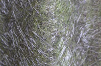 Martlesham Heath fibreglass roof work